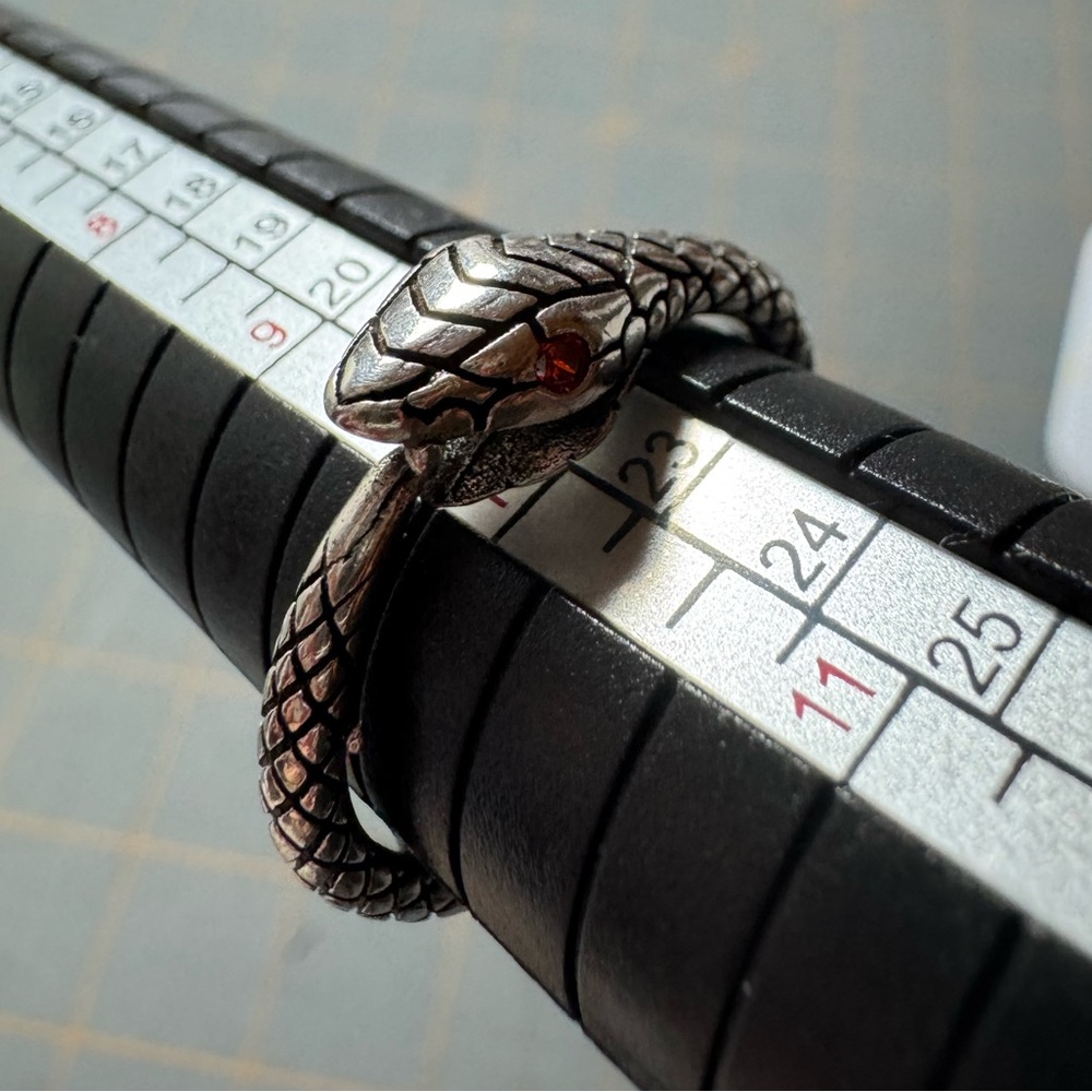 Silver colored snake ring with red gem eye. NWOT never worn. Size 10